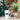 Naruto Shippuden Tall Ceramic Coffee Mug - Stunned Mind